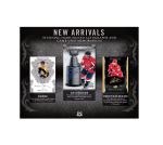2023-24 Upper Deck The Cup Hockey Hobby 3-Box Case - Image 5