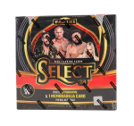 2024 Panini Select WWE Wrestling Hobby Box